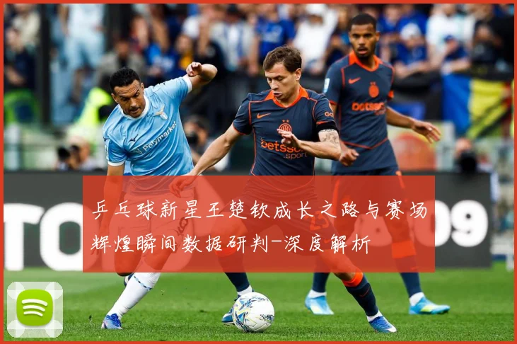 乒乓球新星王楚钦成长之路与赛场辉煌瞬间数据研判-深度解析