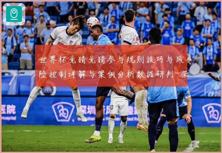 世界杯竞猜竞猜参与规则技巧与风险控制详解与案例分析数据研判-深度解析