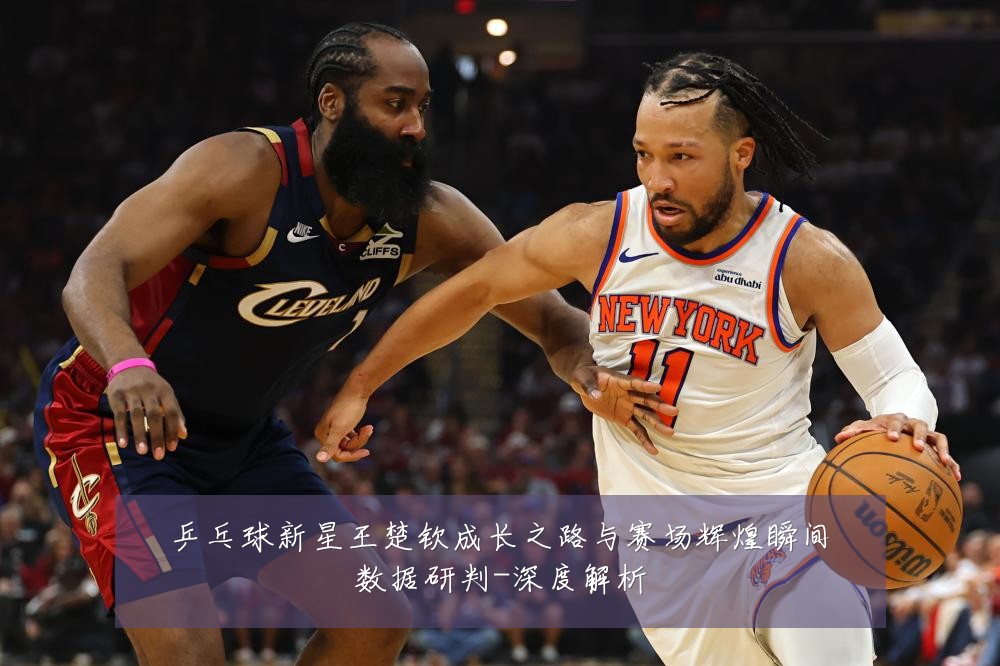 乒乓球新星王楚钦成长之路与赛场辉煌瞬间数据研判-深度解析